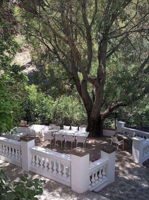 Casa Fuente De Rechita Villa La Iruela Ngoại thất bức ảnh